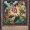 Droll & Lock Bird (Alternate Art) (PCR) - 25th Anniversary Rarity Collection II (RA02) - Prismatic Collector's Rare