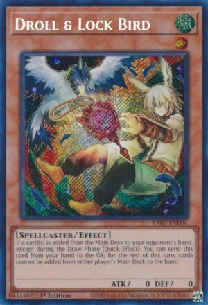 Droll & Lock Bird (Alternate Art) (Secret Rare) - 25th Anniversary Rarity Collection II (RA02)